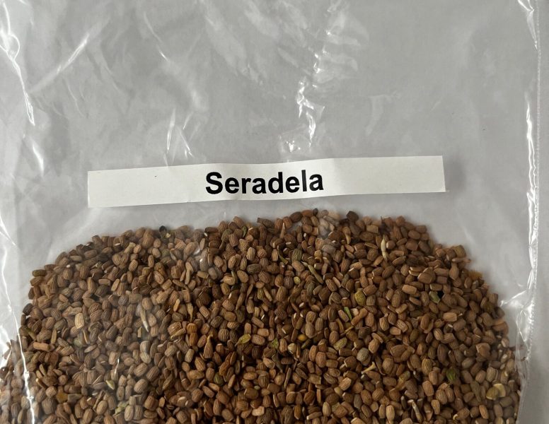 seradela